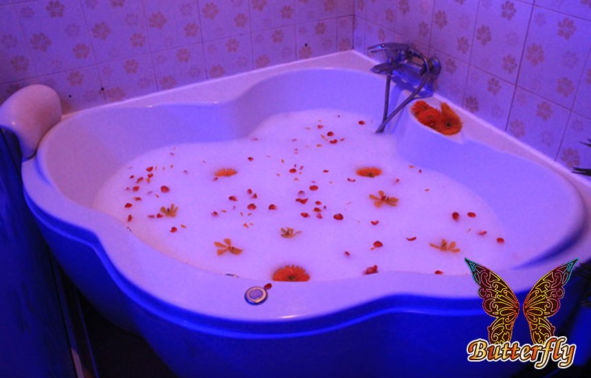 Butterfly / バタフライ