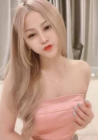 Don Quixote / ドン・キホーテ