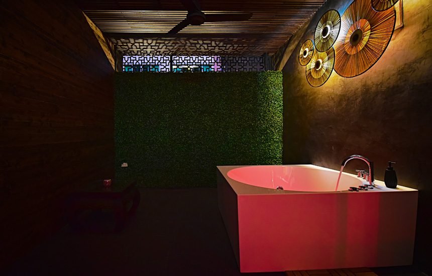 Daisy Dream / デイジードリーム