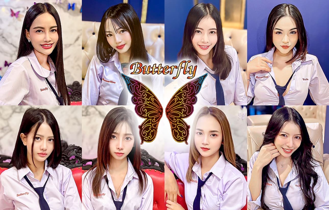 Butterfly / バタフライ