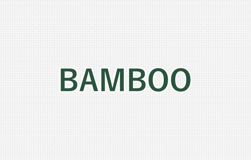 Bamboo