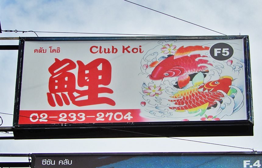 Club Koi / クラブ鯉